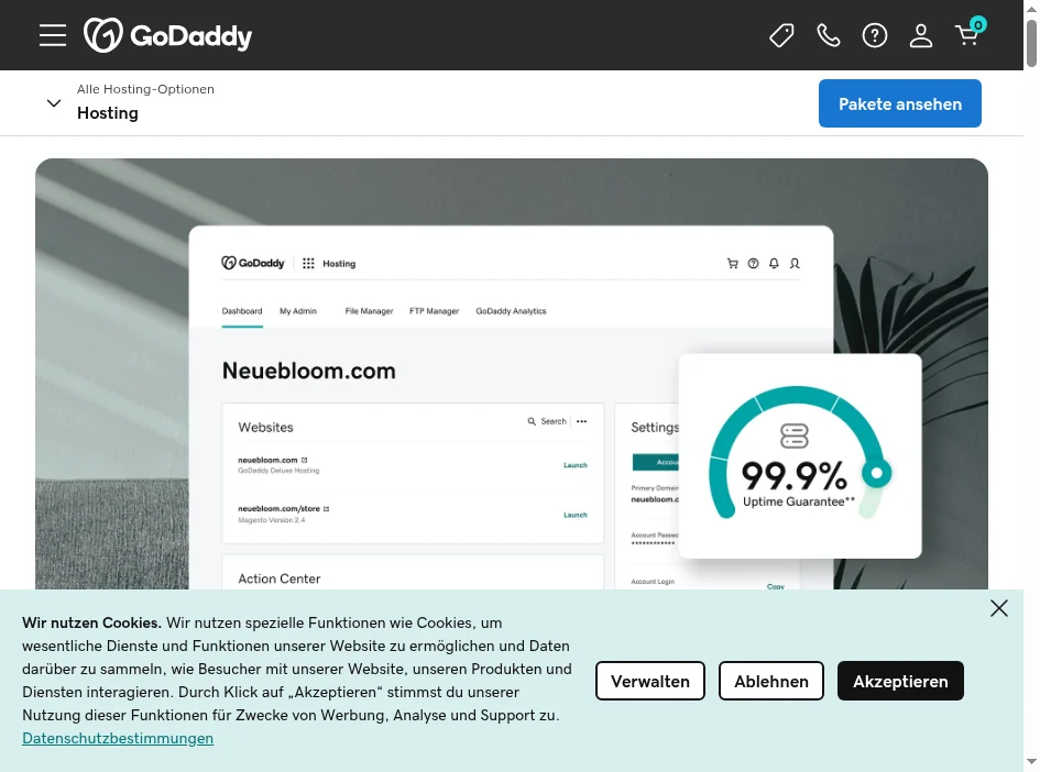 GoDaddy Web Hosting Deluxe