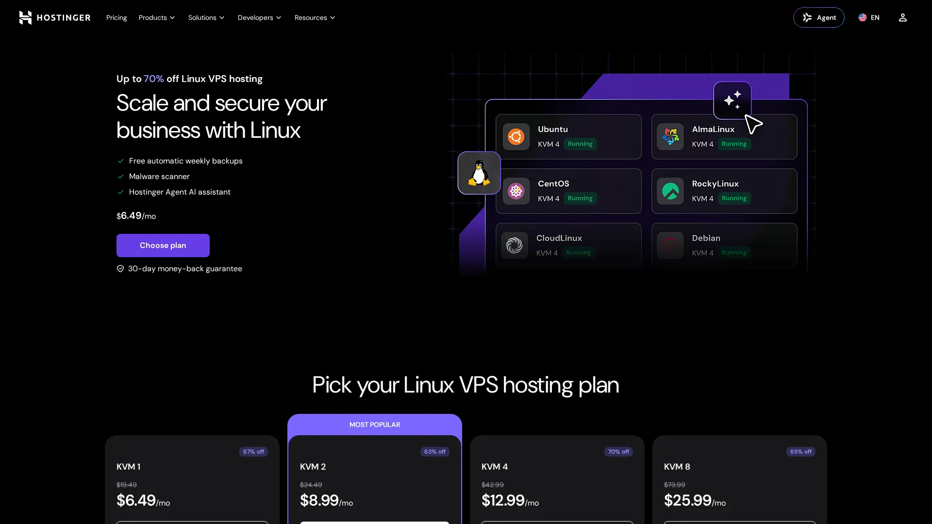 Hostinger VPS